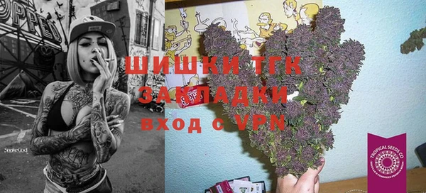 СК Аркадак
