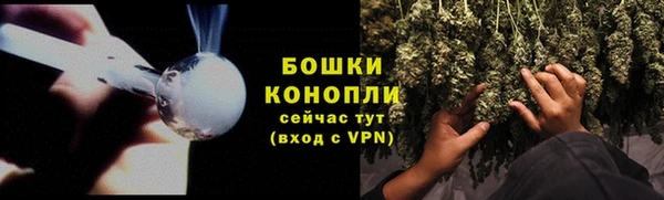 СК Аркадак