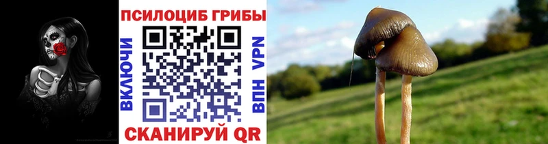 Галлюциногенные грибы Cubensis  Калтан 